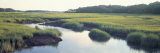 Salt Marsh Cape Cod Ma, USA Photographic Print by  Panoramic Images