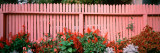 Close-up of Flowers Growing Near a Fence Lámina fotográfica por Panoramic Images