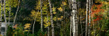 New York, Adirondacks, Autumn at Chapel Pond Photographic Print by  Panoramic Images