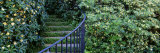 Historic District Charleston Sc, USA Photographic Print by  Panoramic Images