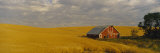 Barn in a Wheat Field, Palouse, Washington State, USA Photographic Print by  Panoramic Images