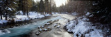 Metolius River Jefferson County, OR Photographic Print by  Panoramic Images