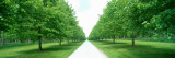 Avenue at Chateau De Modave Ardennes Belgium Photographic Print by  Panoramic Images