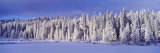 Winter Wawona Meadow Yosemite National Park, CA Lámina fotográfica por Panoramic Images Winter Wawona Meadow Yosemite National Park, CA Lámina fotográfica por Panoramic Images