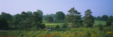 Trees on a Golf Course, Des Moines Golf and Country Club, Des Moines, Iowa, USA Photographic Print by  Panoramic Images