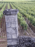 Entrance of a Vineyard, Chateau La Clotte, Bordeaux, France Photographic Print Entrance of a Vineyard, Chateau La Clotte, Bordeaux, France Photographic Print