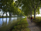 Lime Trees on Canal Du Midi, Near Le Somail, Languedoc-Roussillon, France Photographic Print Lime Trees on Canal Du Midi, Near Le Somail, Languedoc-Roussillon, France Photographic Print