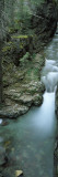 High Angle View of a Waterfall, Mt Timpanogos, Wasatch Mountains, Utah, USA Lámina fotográfica por Panoramic Images High Angle View of a Waterfall, Mt Timpanogos, Wasatch Mountains, Utah, USA Lámina fotográfica por Panoramic Images