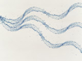 Three Ribbons of Water Drops with White Background Photographic Print