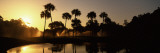 Silhouette of Palm Trees at Sunrise in a Golf Course, Kiawah Island Golf Resort, Kiawah Island Fotografie-Druck von  Panoramic Images