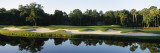 Lake in a Golf Course, Kiawah Island Golf Resort, Kiawah Island, Charleston County Reprodukcja zdjęcia autor Panoramic Images Lake in a Golf Course, Kiawah Island Golf Resort, Kiawah Island, Charleston County Reprodukcja zdjęcia autor Panoramic Images