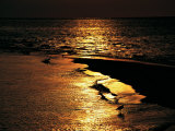 Sunset over the Kapalai Lagoon Photographic Print by Andrea Ferrari