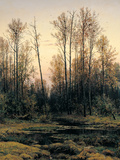 Spring Forest Giclee Print