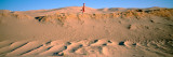 Side Profile of a Woman Running in the Desert, Great Sand Dunes National Monument, Colorado, USA Photographic Print by  Panoramic Images