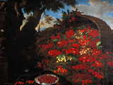 Cherries Giclee Print