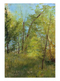 Wood at Antoliva Giclee Print