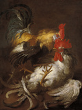 The Cockfight reproduction procédé giclée par Lorenzo Lotto
