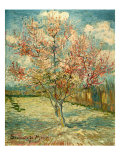 Peach Blossoming (Souvenir De Mauve) Lámina giclée