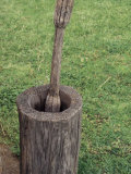 Wooden Mortar and Pestle for Grinding Corn, Chucalissa Native American Village, Memphis, Tennessee, Photographic Print