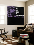 Pink Anderson - Ballad and Folk Singer, Vol. 3 Mural