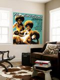 The Emotions - Chronicle: Greatest Hits Wall Mural