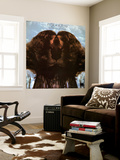 Flora Purim - Butterfly Dreams Wall Mural