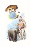 Tiger Balancing on Ball with Stars Posters
