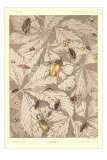 Beetles on Leaves Posters