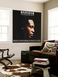 Sylvester, The Original Hits Mural