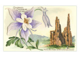 Columbine, Garden of the Gods Lámina giclée