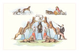 Animals Forming Pyramid Posters