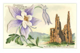 Columbine, Garden of the Gods Posters