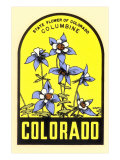 Columbine Decal Lámina giclée