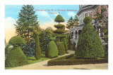 Topiary, W.J. Pendray Residence, Victoria Posters