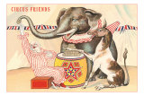 Elephant, Horse, Clown with Blocks Prints
