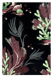 Coral Reef Wallpaper Poster