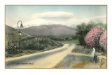 El Camino Real, California Posters