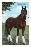 « Whirlaway », vainqueur du derby du Kentucky Posters
