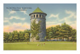 Rockford Park Water Tower Posters