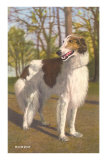 Borzoi Posters