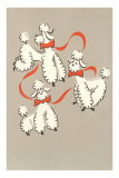 Three Poodles Caricature Photo