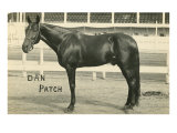 Dan Patch Lámina giclée