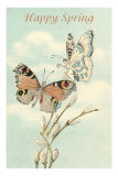 Happy Spring, Butterfly Fairies Posters