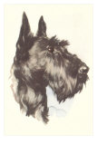 Scottie Dog Pósters