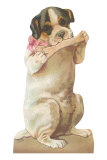 Puppy Chewing Bone Posters