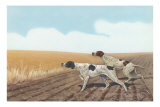 Pointers in Field Posters