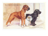 Boxer, Sealyham, Cocker Spaniel Lámina giclée Boxer, Sealyham, Cocker Spaniel Lámina giclée