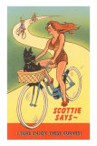 Enjoy Curves, Scottie in Bicycle Basket Photo
