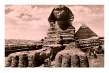 Sphinx Head-On Posters