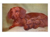 Mother Dachshund and Two Pups Lámina giclée Mother Dachshund and Two Pups Lámina giclée